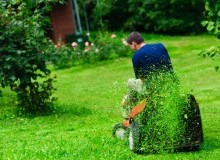 Kwikfynd Lawn Mowing
mountmolloy