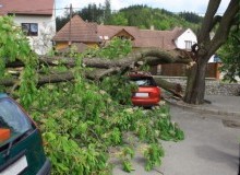 Kwikfynd Tree Cutting Services
mountmolloy